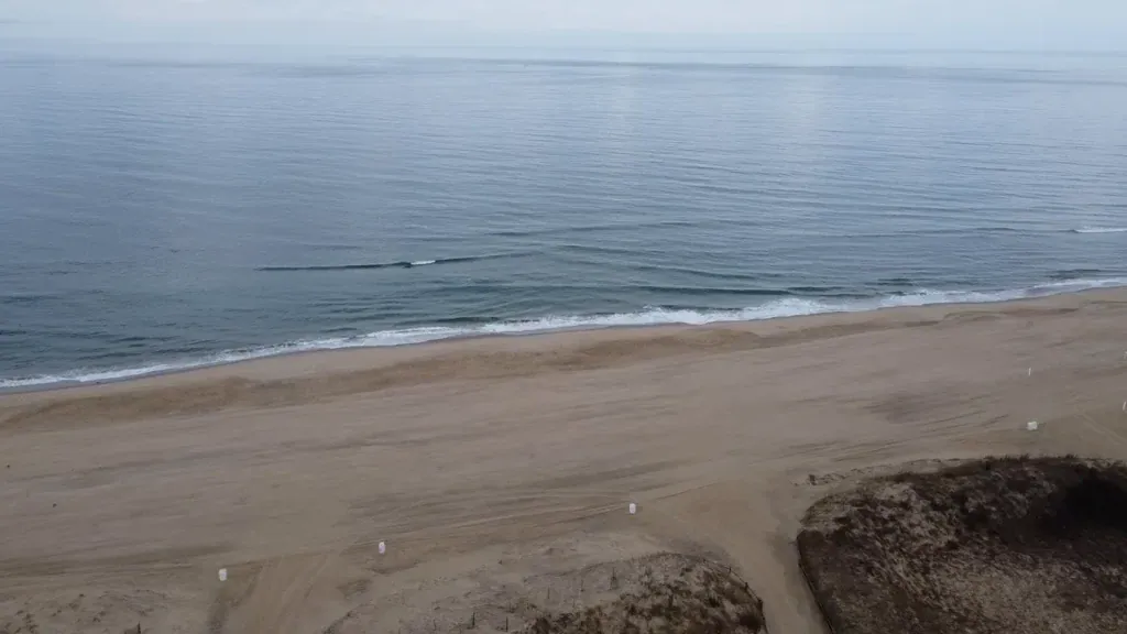 Aerial view of the sandy beach and Atlantic shoreline at Sandbridge in Virginia Beach